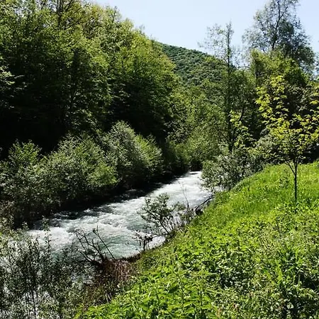 Riverside * Etropole